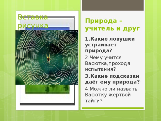 Вставка рисунка Природа – учитель и друг 1.Какие ловушки устраивает природа? 2.Чему учится Васютка,проходя испытания? 3.Какие подсказки даёт ему природа? 4.Можно ли назвать Васютку жертвой тайги? 