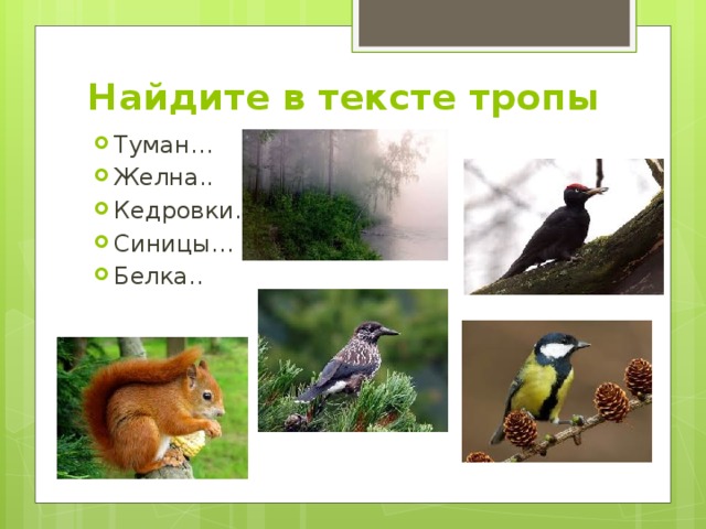 Найдите в тексте тропы Туман… Желна.. Кедровки.. Синицы… Белка.. 