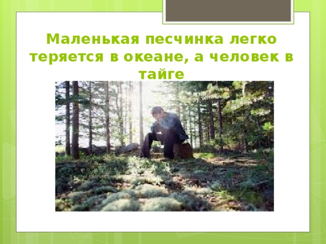 Маленькая песчинка легко теряется в океане, а человек в тайге 