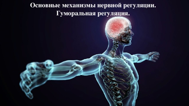 Основные механизмы нервной регуляции. Гуморальная регуляция.   