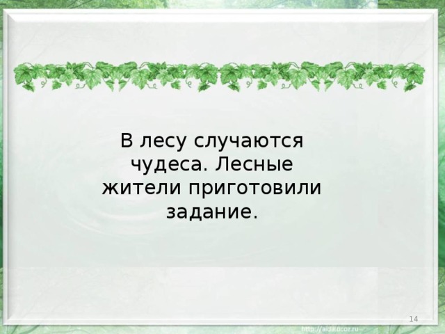 В лесу случаются чудеса. Лесные жители приготовили задание.  