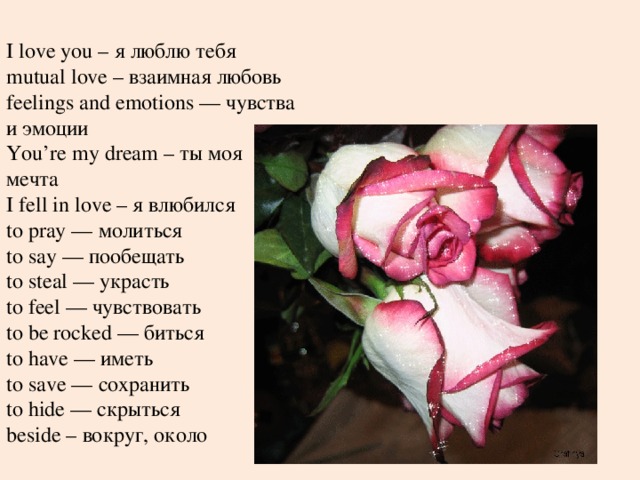 I love you – я люблю тебя mutual love – взаимная любовь feelings and emotions — чувства и эмоции You’re my dream – ты моя мечта I fell in love – я влюбился to pray — молиться to say — пообещать to steal — украсть to feel — чувствовать to be rocked — биться to have — иметь to save — сохранить to hide — скрыться beside – вокруг, около 