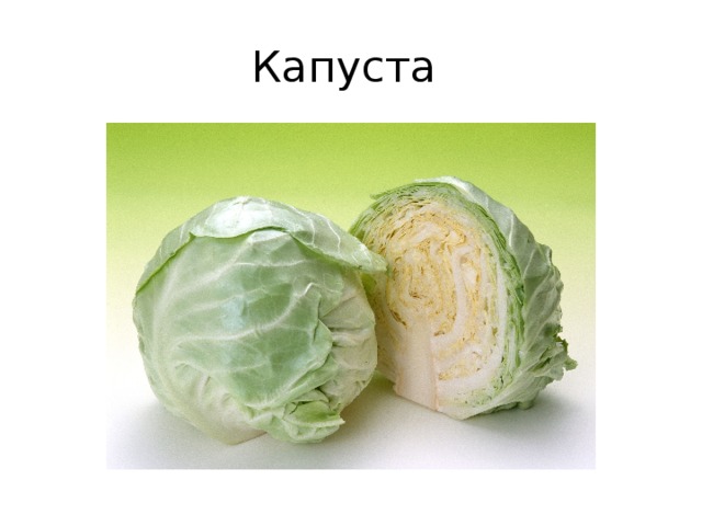 Капуста 