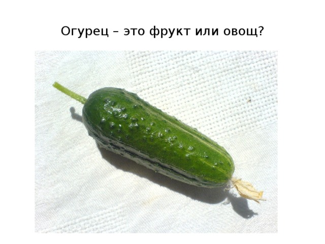 Огурец – это фрукт или овощ? 