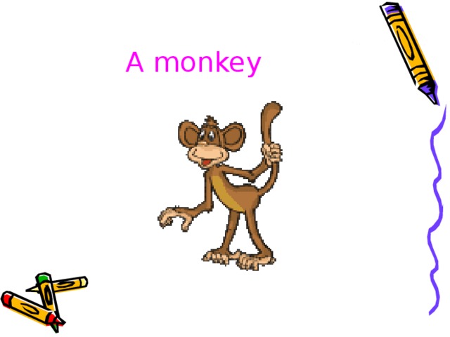 A monkey