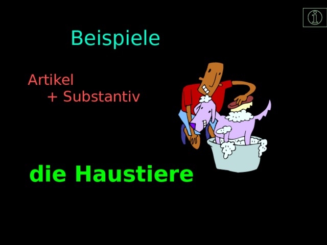 Beispiele Artikel  + Substantiv die Haustiere 