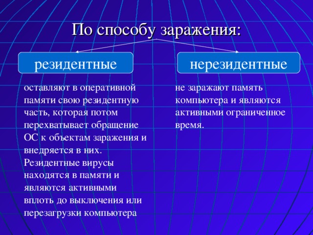 Компьютерные вирусы