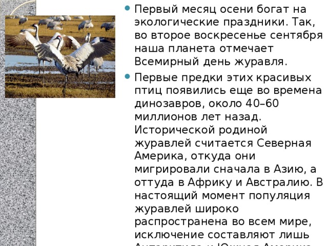 Первый месяц осени богат на экологические праздники. Так, во второе воскресенье сентября наша планета отмечает Всемирный день журавля. Первые предки этих красивых птиц появились еще во времена динозавров, около 40–60 миллионов лет назад. Исторической родиной журавлей считается Северная Америка, откуда они мигрировали сначала в Азию, а оттуда в Африку и Австралию. В настоящий момент популяция журавлей широко распространена во всем мире, исключение составляют лишь Антарктида и Южная Америка. Главные места зимовок журавлей – Иран и запад Индии.     