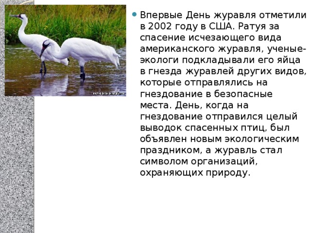 Впервые День журавля отметили в 2002 году в США. Ратуя за спасение исчезающего вида американского журавля, ученые-экологи подкладывали его яйца в гнезда журавлей других видов, которые отправлялись на гнездование в безопасные места. День, когда на гнездование отправился целый выводок спасенных птиц, был объявлен новым экологическим праздником, а журавль стал символом организаций, охраняющих природу.     