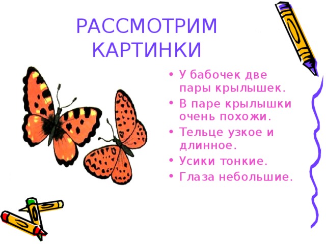 РАССМОТРИМ КАРТИНКИ У бабочек две пары крылышек. В паре крылышки очень похожи. Тельце узкое и длинное. Усики тонкие. Глаза небольшие. 
