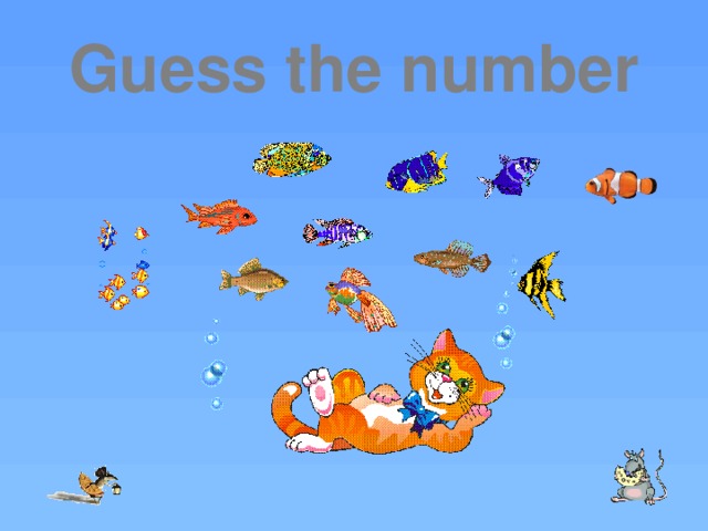 Guess the number