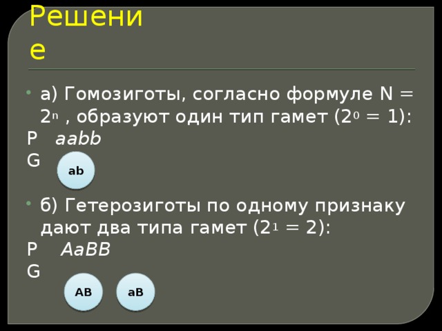 На диаграмме представлены два типа гамет человека х и y