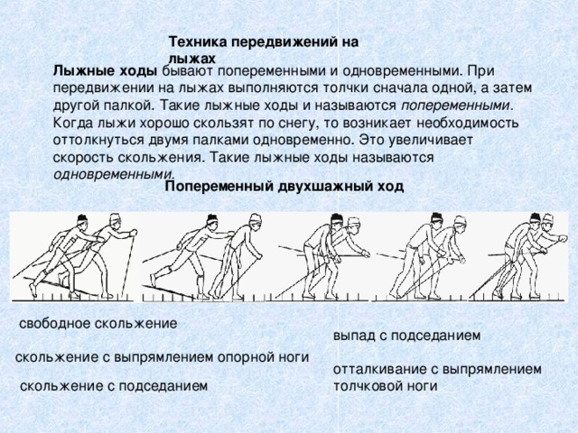  Техника передвижений на лыжах Лыжные ходы попеременными. одновременными. Попеременный двухшажный ход выпад с подседанием скольжение с подседанием 