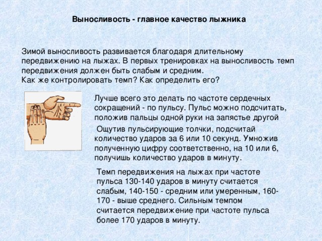 Выносливость - главное качество лыжника 