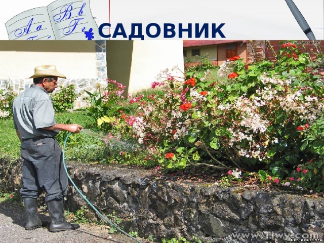 САДОВНИК 