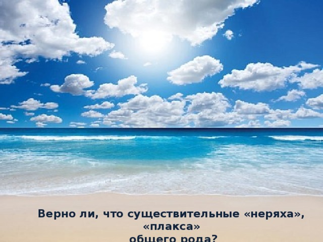 Верно ли, что существительные «неряха», «плакса»  общего рода?