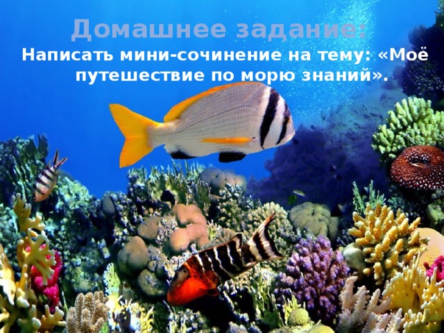 Домашнее задание: Написать мини-сочинение на тему: «Моё путешествие по морю знаний».
