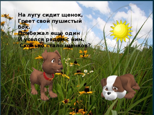 На лугу сидит щенок,  Греет свой пушистый бок.  Прибежал ещё один  И уселся рядом с ним.  Сколько стало щенков? 