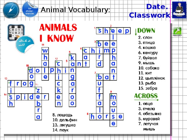 Date. Animal Vocabulary: Classwork. 