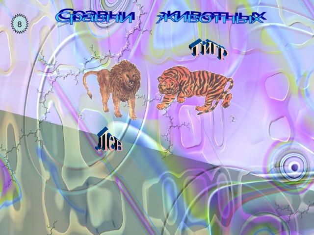 8 