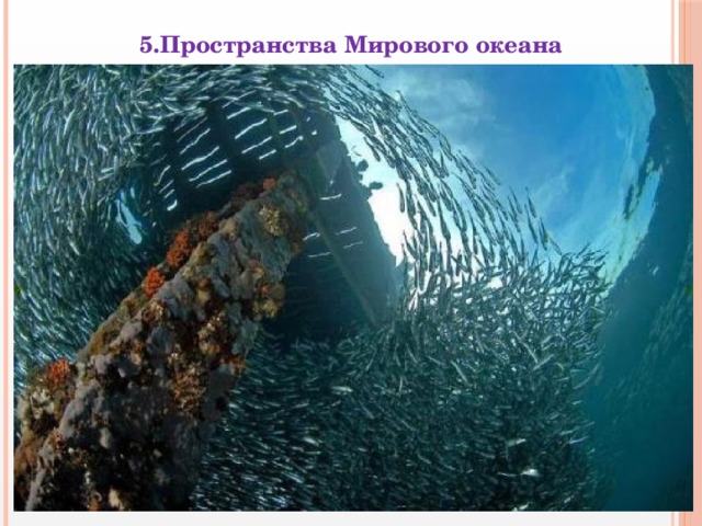 5.Пространства Мирового океана 
