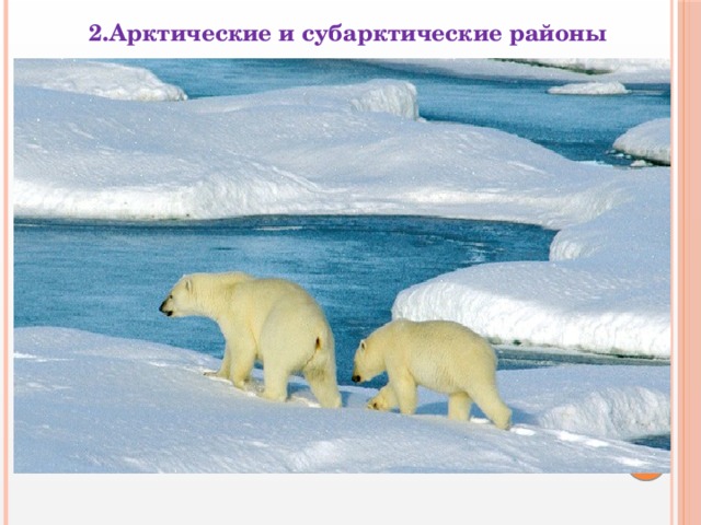 2.Арктические и субарктические районы  