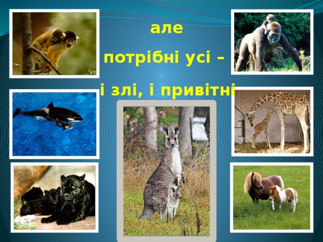 але потрібні усі – і злі, і привітні