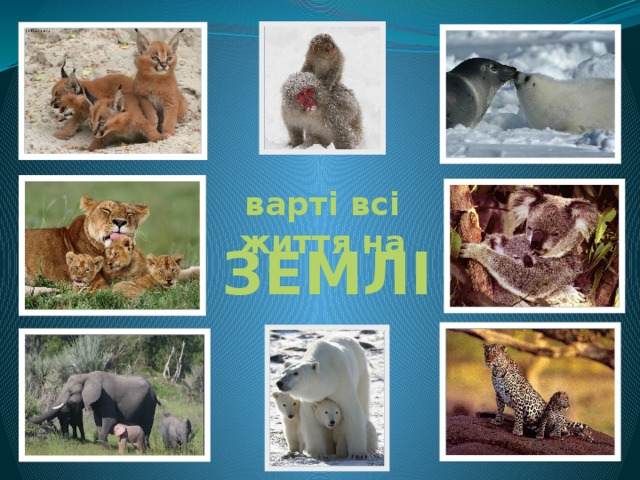 варті всі життя на ЗЕМЛІ