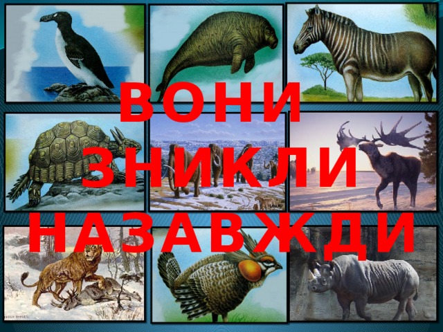 ВОНИ ЗНИКЛИ НАЗАВЖДИ
