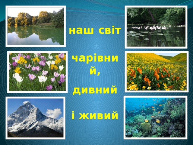 наш світ чарівний, дивний і живий