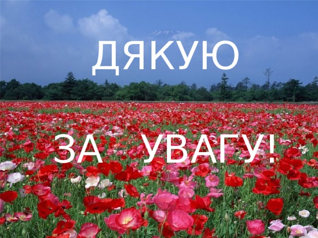 ДЯКУЮ ЗА УВАГУ!