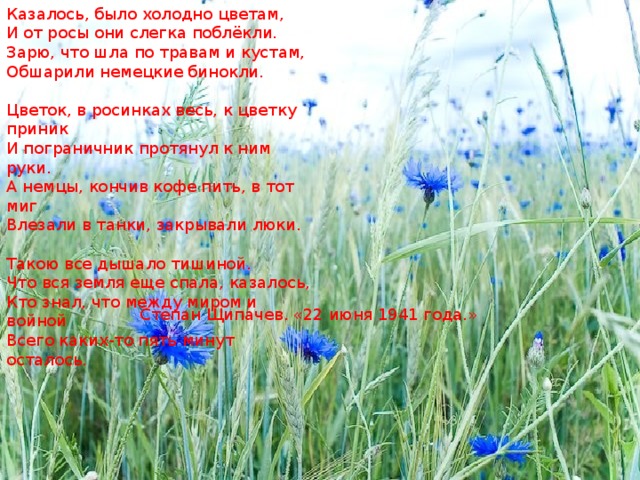 Казалось, было холодно цветам,  И от росы они слегка поблёкли.  Зарю, что шла по травам и кустам,  Обшарили немецкие бинокли. Цветок, в росинках весь, к цветку приник  И пограничник протянул к ним руки.  А немцы, кончив кофе пить, в тот миг  Влезали в танки, закрывали люки. Такою все дышало тишиной.  Что вся земля еще спала, казалось,  Кто знал, что между миром и войной  Всего каких-то пять минут осталось. Степан Щипачев . «22 июня 1941 года.» 