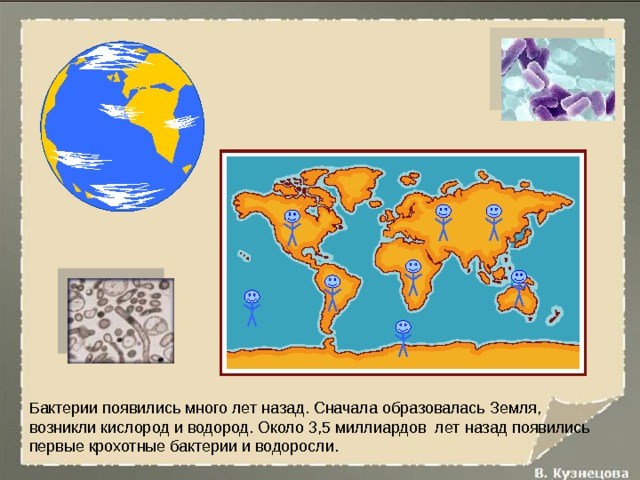 Бактерии появились много лет назад. Сначала образовалась Земля, возникли кислород и водород. Около 3,5 миллиардов лет назад появились первые крохотные бактерии и водоросли. 