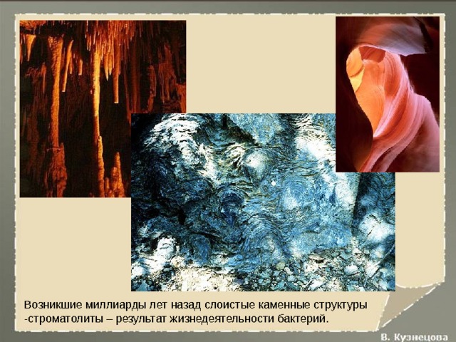 Возникшие миллиарды лет назад слоистые каменные структуры -строматолиты – результат жизнедеятельности бактерий. 