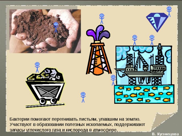 Бактерии помогают перегнивать листьям, упавшим на землю. Участвуют в образовании полезных ископаемых, поддерживают запасы углекислого газа и кислорода в атмосфере. 