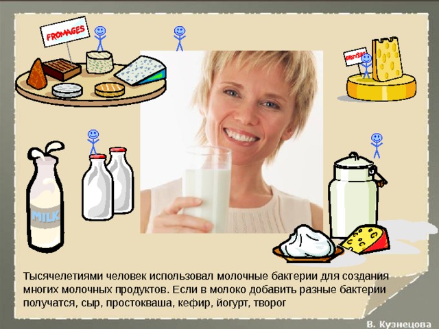 Тысячелетиями человек использовал молочные бактерии для создания многих молочных продуктов. Если в молоко добавить разные бактерии получатся, сыр, простокваша, кефир, йогурт, творог 