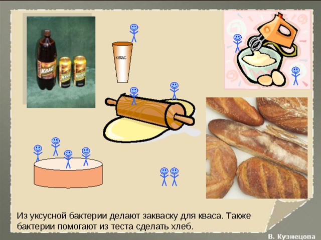 квас Из уксусной бактерии делают закваску для кваса. Также бактерии помогают из теста сделать хлеб. 
