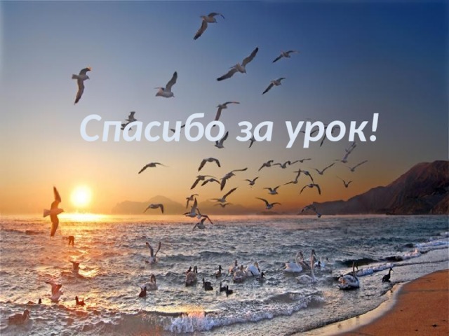 Спасибо за урок! 