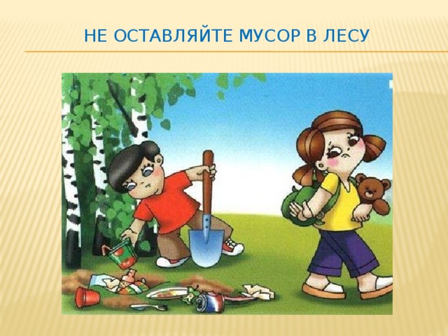 Не оставляйте мусор в лесу 