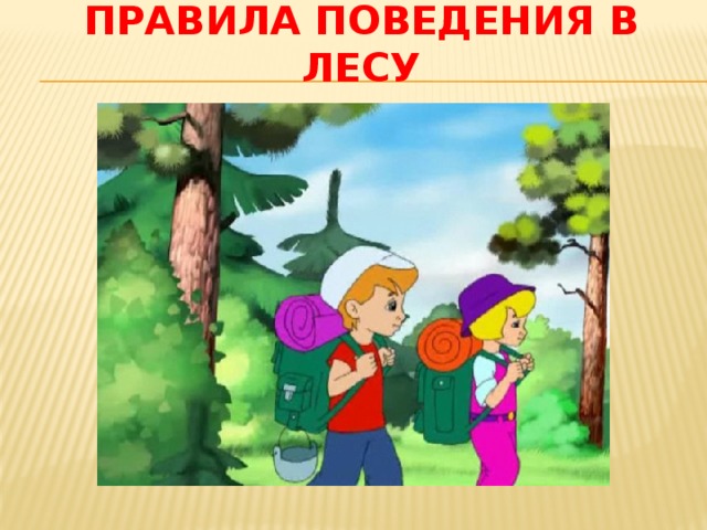ПРАВИЛА ПОВЕДЕНИЯ В ЛЕСУ 