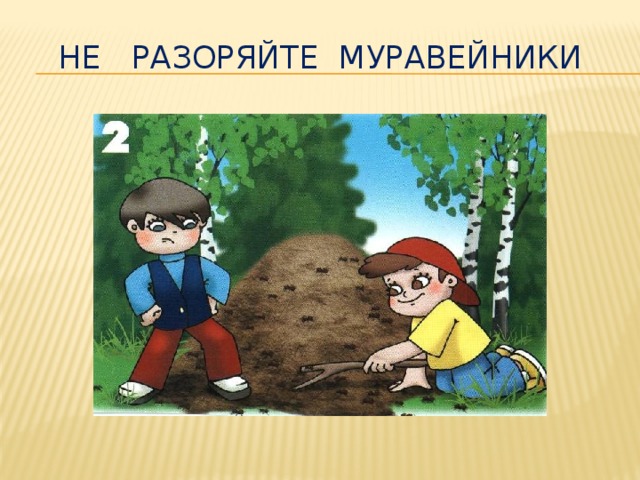  не разоряйте муравейники 