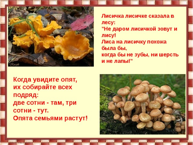 Лисичка лисичке сказала в лесу:  