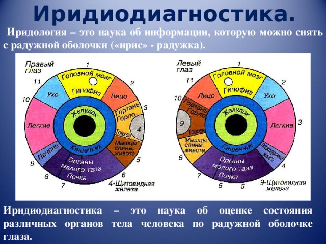 Иридиодиагностика.  Иридология – это наука об информации, которую можно снять с радужной оболочки («ирис» - радужка).  Иридиодиагностика – это наука об оценке состояния различных органов тела человека по радужной оболочке глаза. 