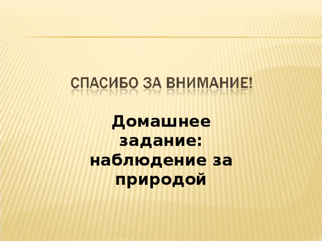 Домашнее задание: наблюдение за природой 