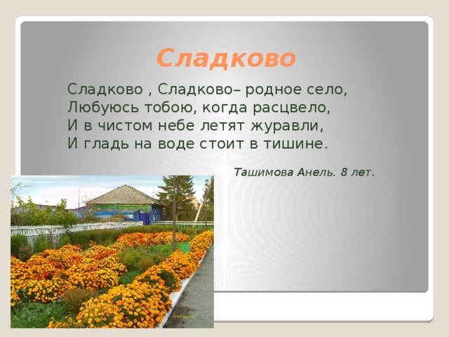Сладково Сладково , Сладково– родное село, Любуюсь тобою, когда расцвело, И в чистом небе летят журавли, И гладь на воде стоит в тишине.  Ташимова Анель. 8 лет. 