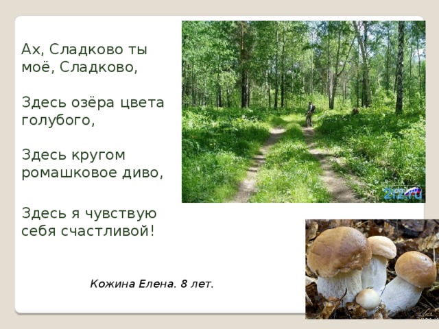 Ах, Сладково ты моё, Сладково, Здесь озёра цвета голубого, Здесь кругом ромашковое диво, Здесь я чувствую себя счастливой! Кожина Елена. 8 лет. 