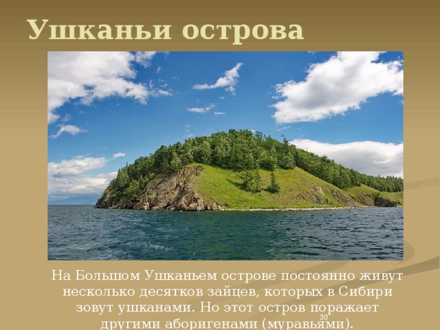 Ушканьи острова карта