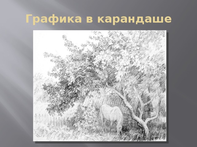 Графика в карандаше 