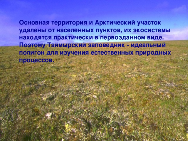 Основная территория и Арктический участок удалены от населенных пунктов, их экосистемы находятся практически в первозданном виде. Поэтому Таймырский заповедник - идеальный полигон для изучения естественных природных процессов. 