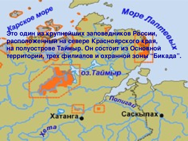 Это один из крупнейших заповедников России, расположенный на севере Красноярского края, на полуострове Таймыр. Он состоит из Основной территории, трех филиалов и охранной зоны “Бикада”. 